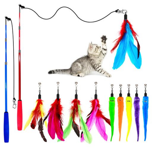 Gray tabby kitten playing with colorful feather wand toy and multiple feather refill attachments