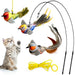 Interactive cat toy set with three colorful feathered birds on flexible wands and tabby kitten