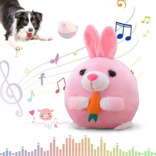 Pink bunny dog toy with carrot and Border Collie with colorful musical notes and sound waves