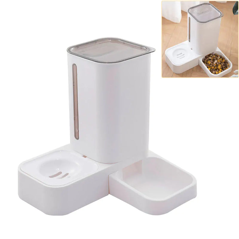 Automatic Feeder for Cats