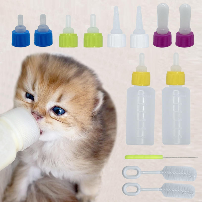 Kitten being bottle fed with nursing kit showing colorful nipples and cleaning brushes
