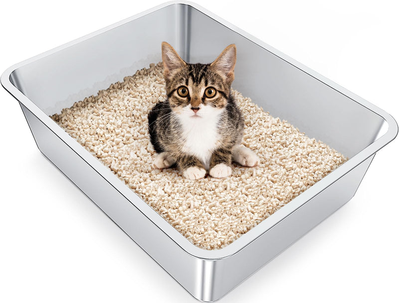 Tabby kitten sitting in stainless steel litter box filled with wood pellet litter