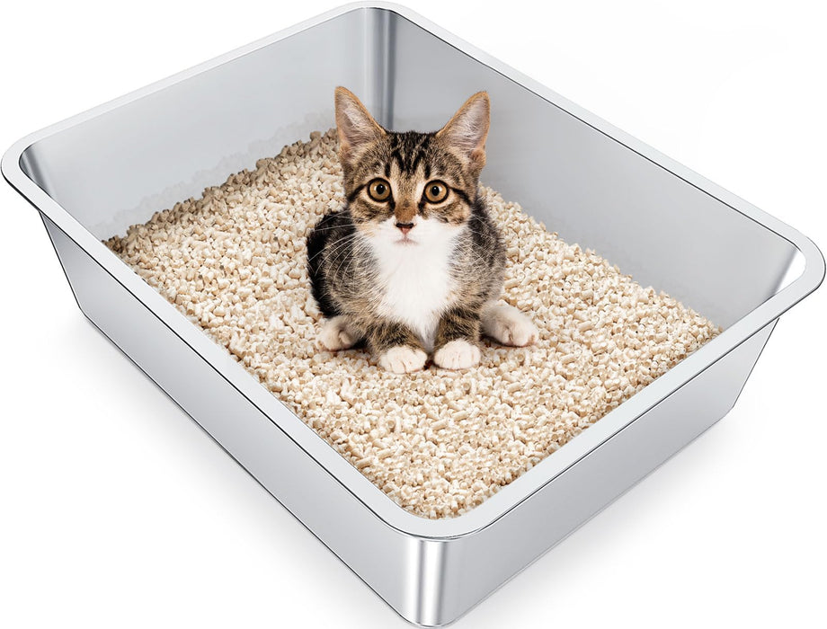 Tabby kitten sitting in stainless steel litter box filled with wood pellet litter