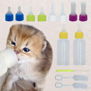 Kitten drinking from nursing bottle with colorful nipple caps and cleaning brushes shown