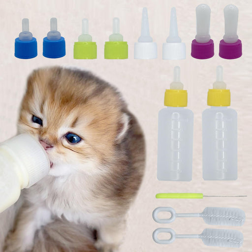 Kitten drinking from nursing bottle with colorful nipple caps and cleaning brushes shown