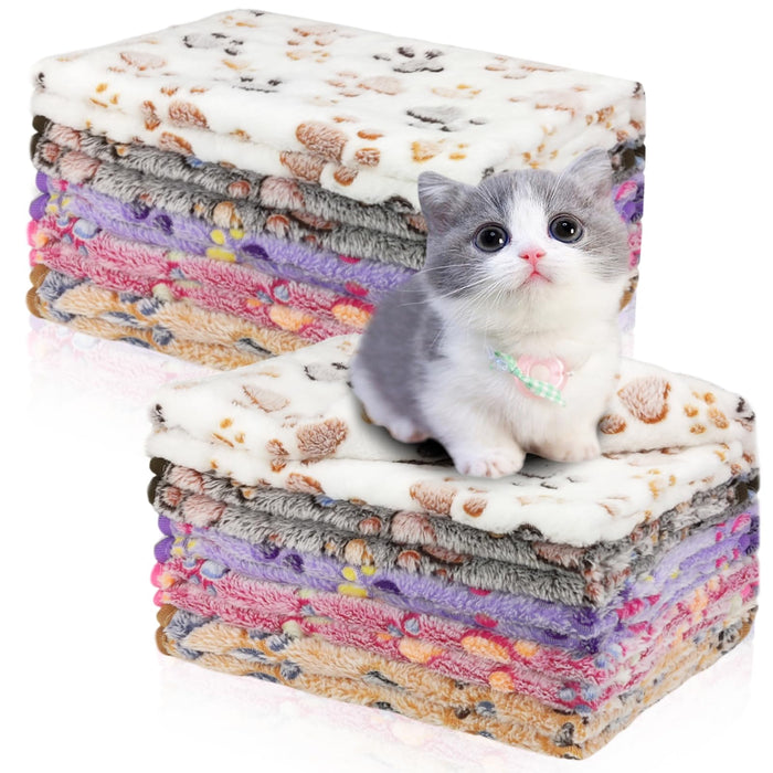 Gray and white kitten sitting between stacks of colorful coral velvet pet blankets