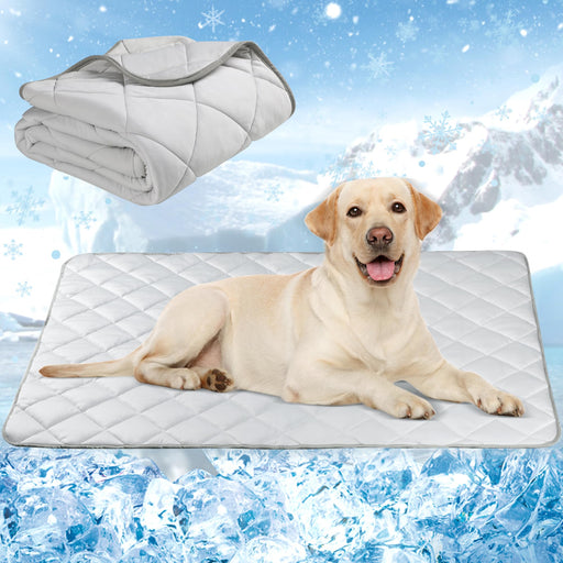 Yellow Labrador lying on gray cooling pet mat with snowy winter background and blanket above