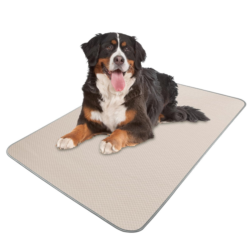 Bernese Mountain Dog lying on beige cooling mat with textured surface and gray border