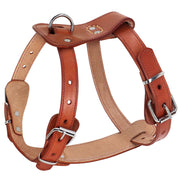 Brown leather dog harness with metal buckles and D-ring shown at an angle on white background