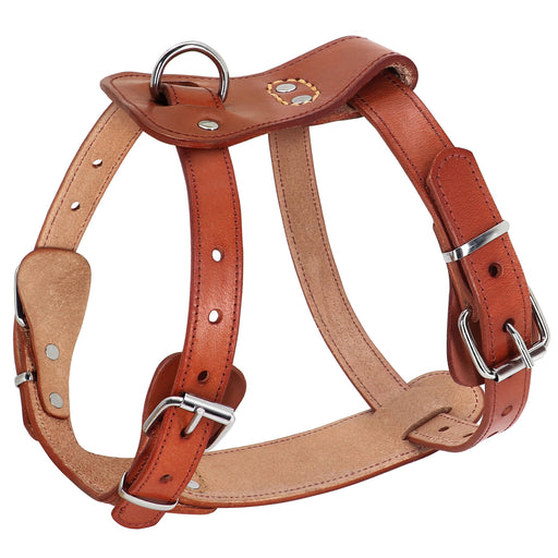 Brown leather dog harness with metal buckles and D-ring shown at an angle on white background
