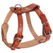 Brown leather dog harness with metal buckles and D-ring shown at an angle on white background