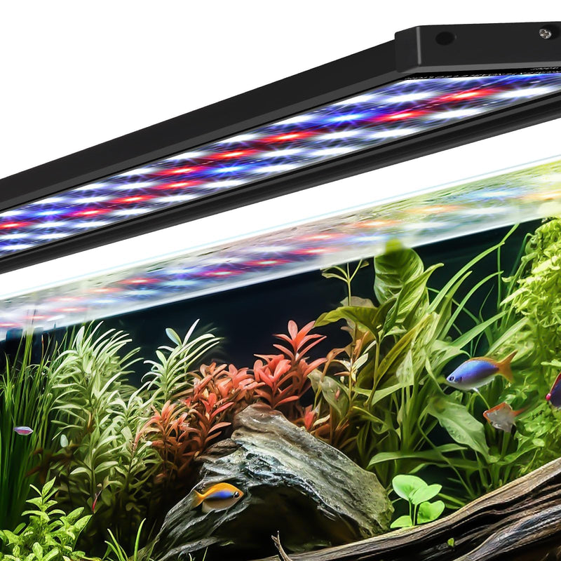 Full spectrum LED aquarium light illuminating planted tank with colorful fish and aquatic plants