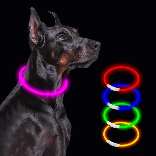 Black Doberman wearing glowing purple LED collar with colorful light-up collar options displayed