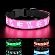 LED dog collar in pink, green, red, and blue colors with bone and paw print patterns glowing