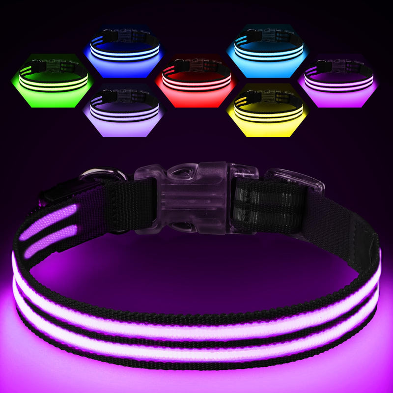 LED dog collar with purple light and multiple colored collar options displayed above