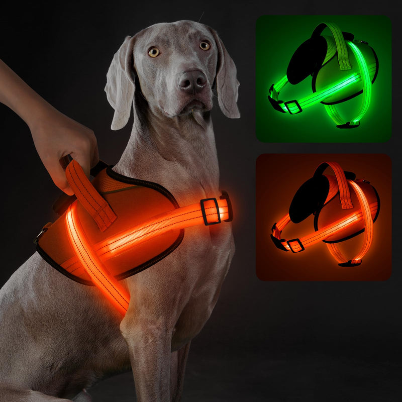 Weimaraner dog wearing glowing orange LED harness shown with green and orange color variants