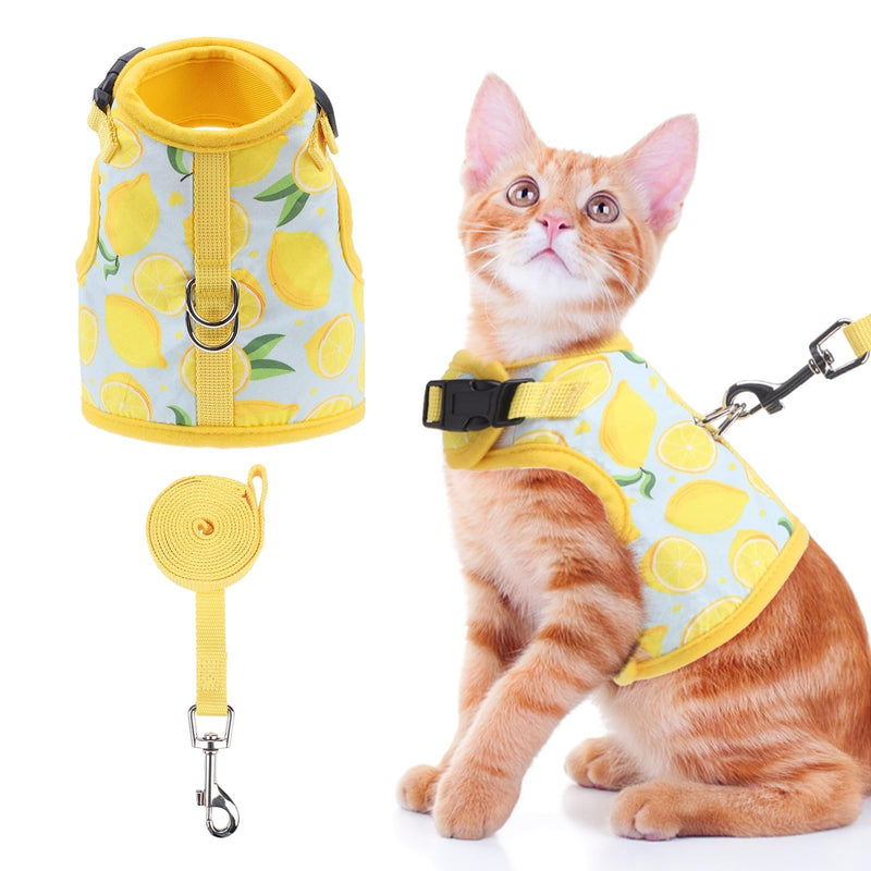 Orange kitten wearing lemon pattern harness with matching leash and harness components displayed