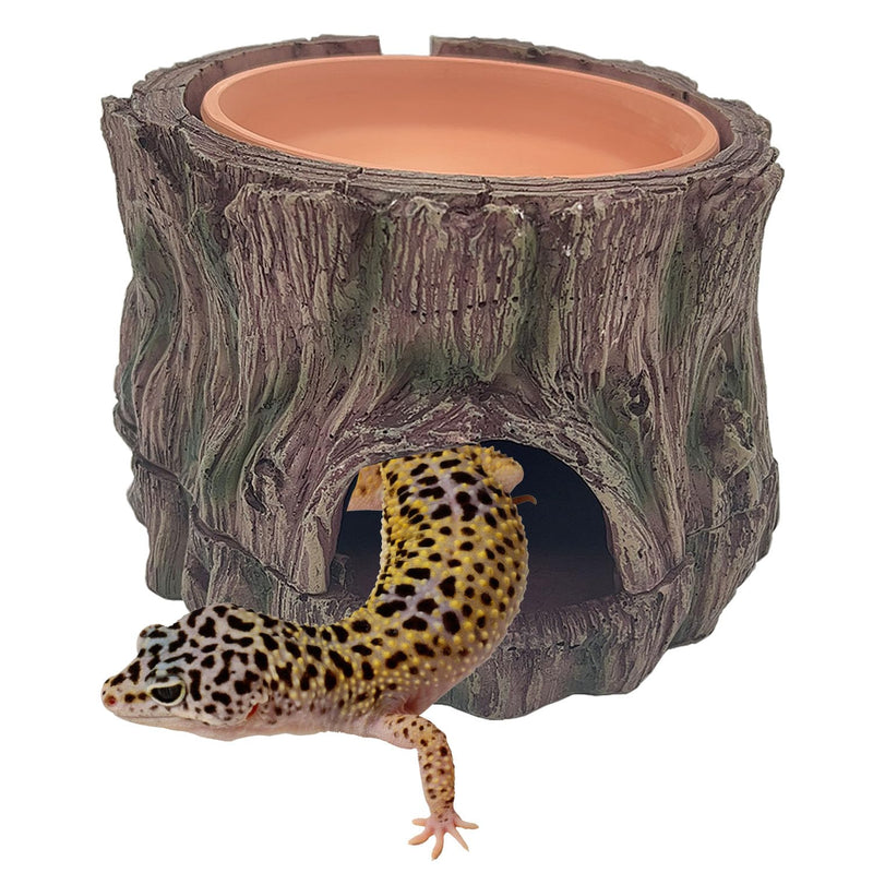 Leopard gecko emerging from realistic tree stump cave hide with water dish on top