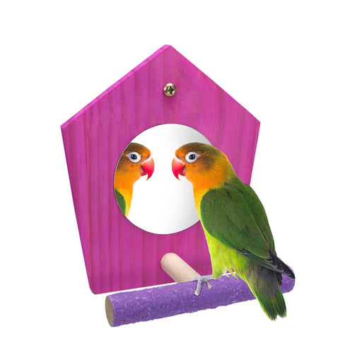 Colorful lovebird perched on purple textured perch in front of bright pink birdhouse mirror