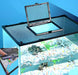 Mesh aquarium lid with hinged feeding door positioned over fish tank with colorful gravel