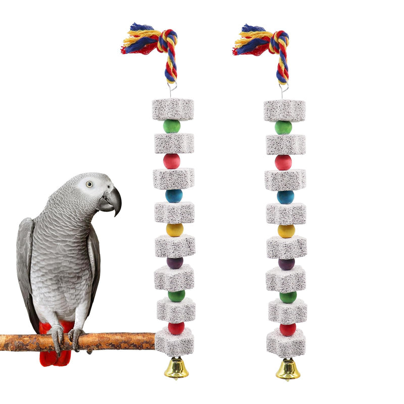 Gray parrot beside two colorful mineral block chew toys with bells and rope hanging chains