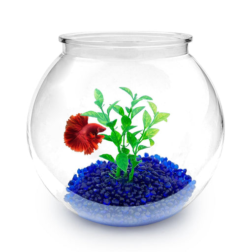 Round glass fishbowl with red betta fish, green aquatic plant, and blue gravel substrate