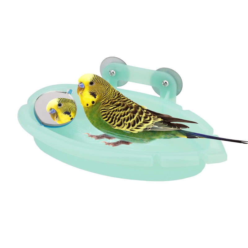 Green budgerigars in mint green bird bath with mirror and suction cups on white background