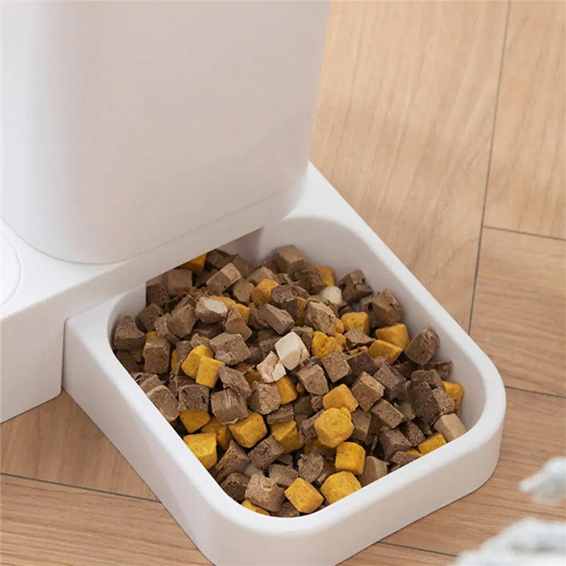 Automatic Feeder for Cats