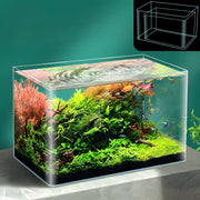 Clear rimless glass aquarium with lush planted aquascape and colorful tropical fish