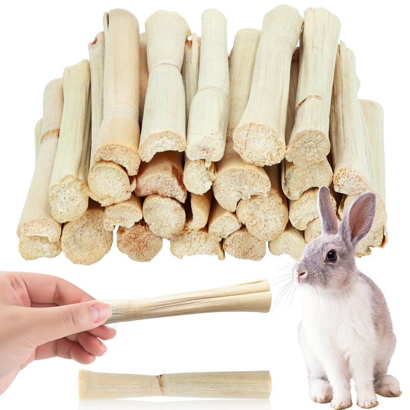 Bundle of natural bamboo chew sticks with rabbit and human hand holding single stick