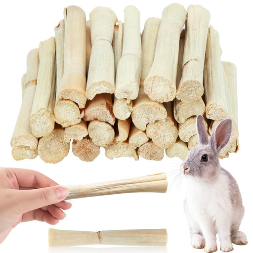 Bundle of natural bamboo chew sticks with rabbit and human hand holding single stick