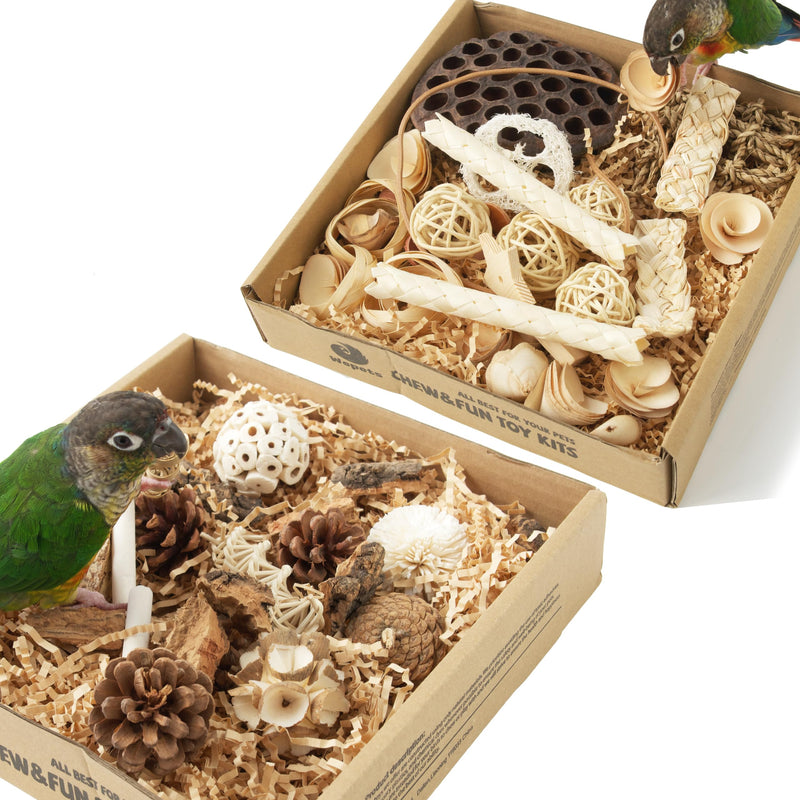Two open cardboard boxes filled with natural wood bird toys and foraging materials with parrots