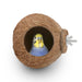 Natural Coconut Shell Bird Nest House