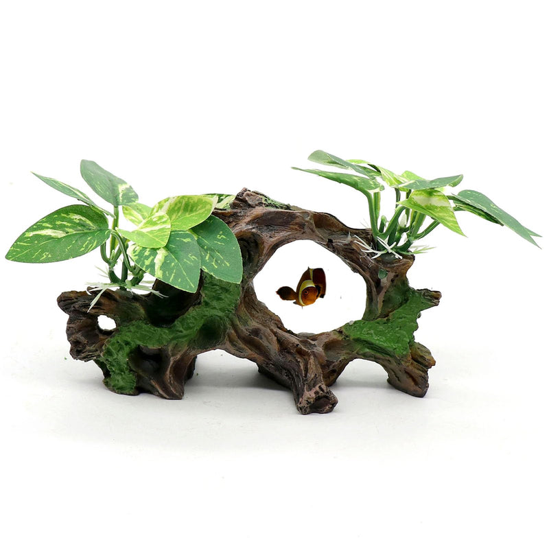 Natural driftwood cave aquarium decoration with green moss and artificial plants on white background