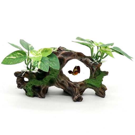 Natural driftwood cave aquarium decoration with green moss and artificial plants on white background