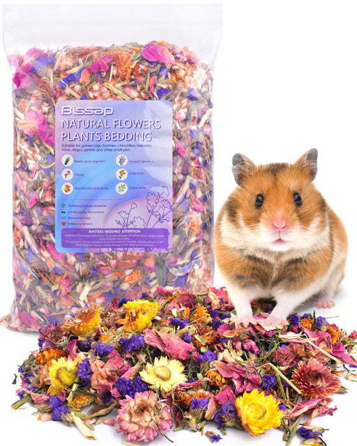 Natural flower bedding bag with colorful dried petals scattered around cute hamster