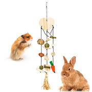 Natural Hanging Chew Toy Set