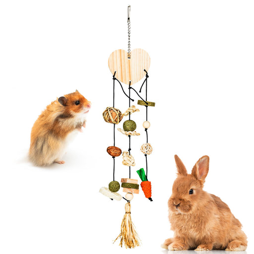 Natural Hanging Chew Toy Set