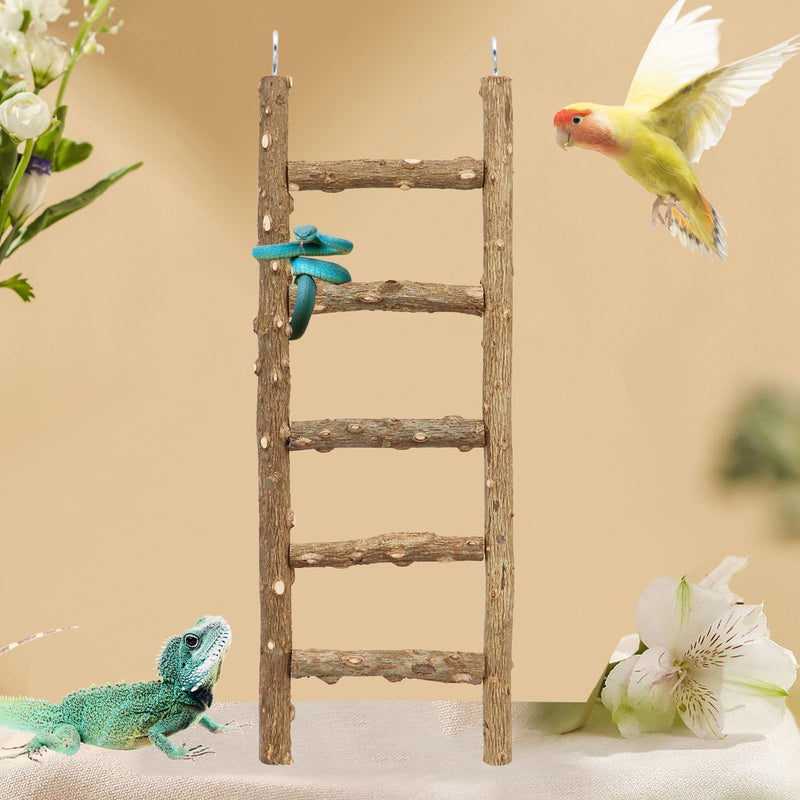 Natural wood bird ladder with 5 rungs, colorful lovebird flying nearby and toy iguana below