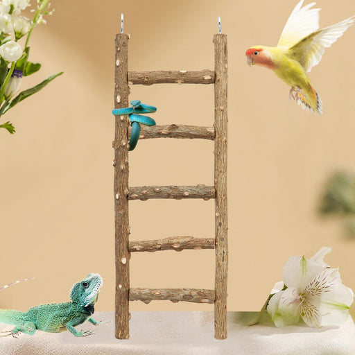 Natural wood bird ladder with 5 rungs, colorful lovebird flying nearby and toy iguana below