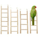 Green parrot perched on wooden ladder with five natural wood bird climbing ladders in various sizes