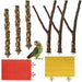 Natural wood bird perch set with branching designs, red and yellow platforms, and green parrot