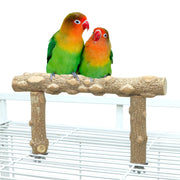 Two colorful lovebirds perched on natural wood branch stand with green and orange feathers