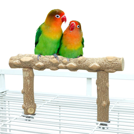 Two colorful lovebirds perched on natural wood branch stand with green and orange feathers