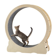 Tabby cat walking inside a large natural wood circular exercise wheel with gray carpet
