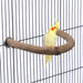 Yellow cockatiel perched on curved natural wood U-shaped perch inside wire bird cage