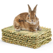 Natural Woven Grass Mat Set for Small Animals