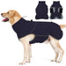 Yellow Labrador wearing navy blue waterproof winter coat with reflective trim and turtleneck