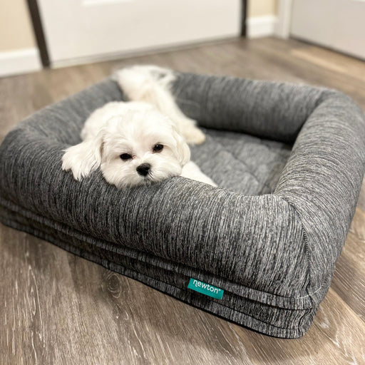Small white Maltese puppy resting in gray heathered orthopedic dog bed on wooden floor