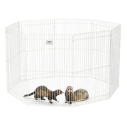 White wire exercise pen containing two ferrets on white background showing octagonal shape